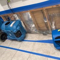 Real Mold Solution ico