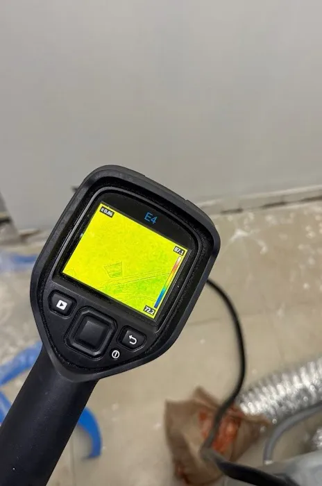 Real Mold Solution Picture 5