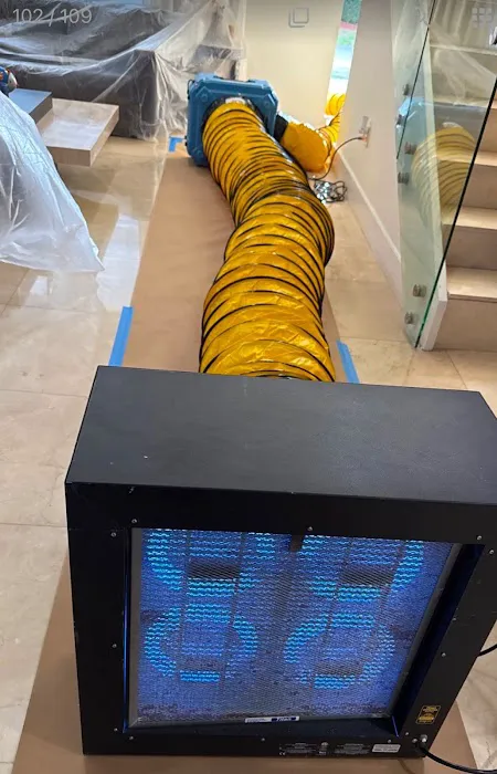 Real Mold Solution Picture 8