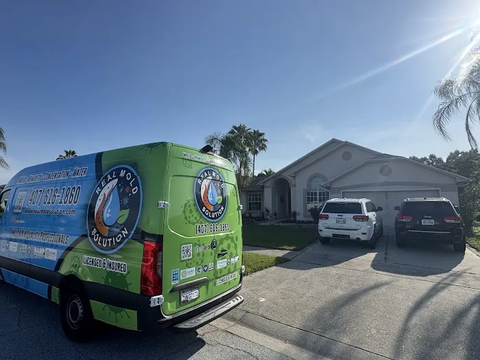 Real Mold Solution Picture 4