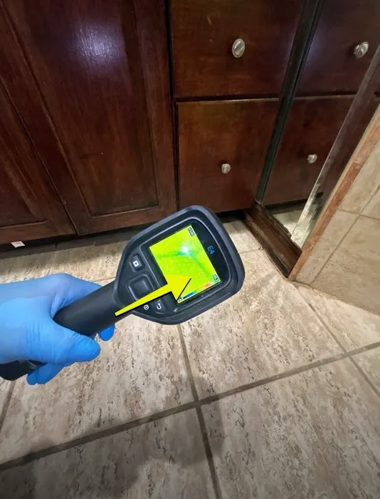 Real Mold Solution Picture 2