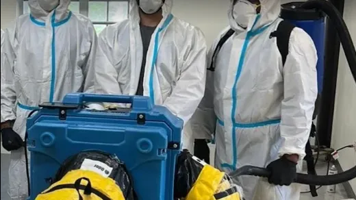 Real Mold Solution Picture 6