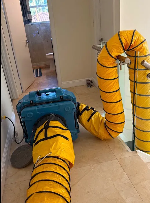 Real Mold Solution Picture 10