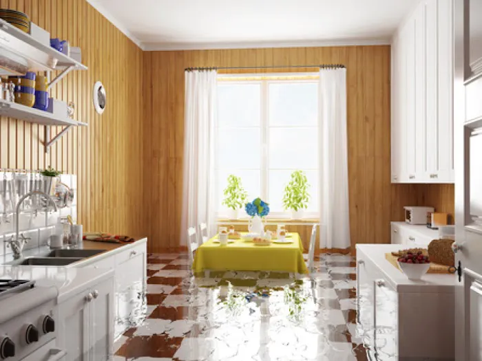 Restoration First Services Picture 2