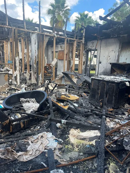 One Stop Restoration Of Fl Picture 9