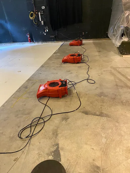 One Stop Restoration Of Fl Picture 3