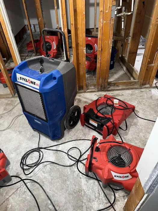 One Stop Restoration Of Fl Picture 6