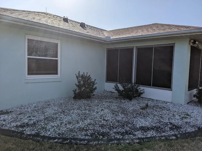 Bings Painting Plus Picture 7