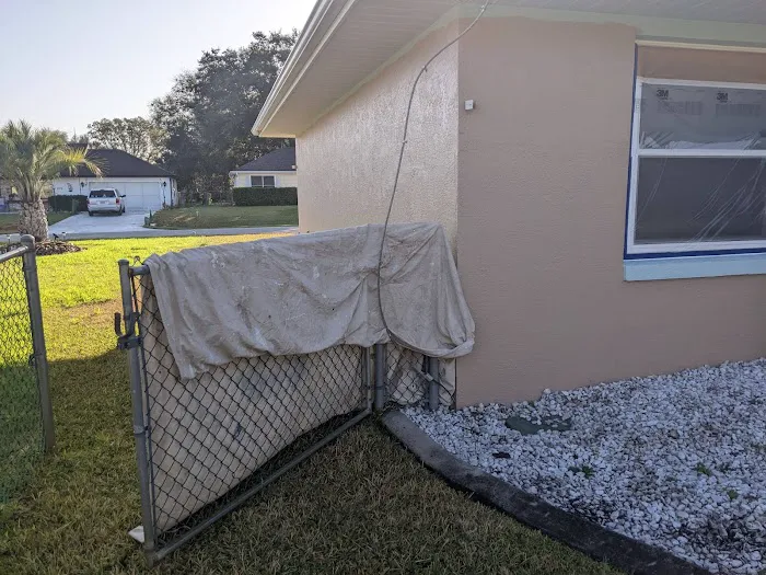 Bings Painting Plus Picture 8