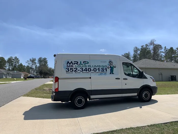 MR. LOUIS PLUMBING Picture 9