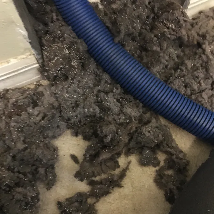 ThuraClean Inc Picture 5