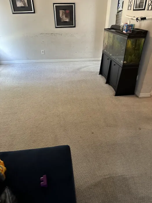 ThuraClean Inc Picture 7