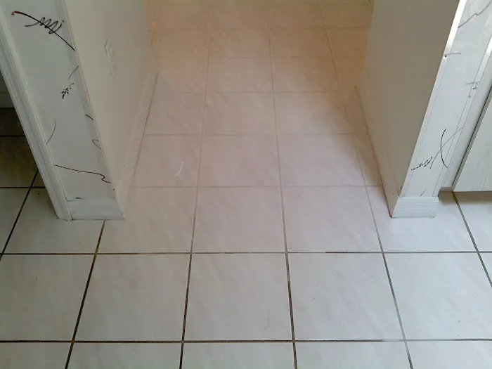 Elite Cleaning and Restoration, Inc. Picture 2