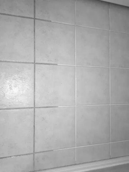 Elite Cleaning and Restoration, Inc. Picture 3