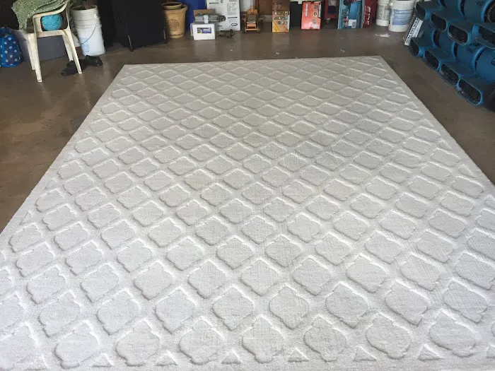 Elite Cleaning and Restoration, Inc. Picture 1