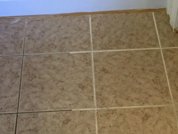 Elite Cleaning and Restoration, Inc. Picture 5