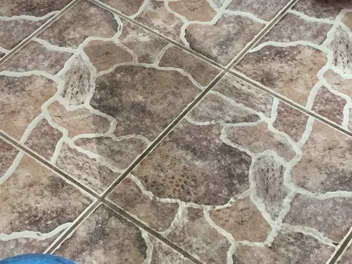 Elite Cleaning and Restoration, Inc. Picture 8