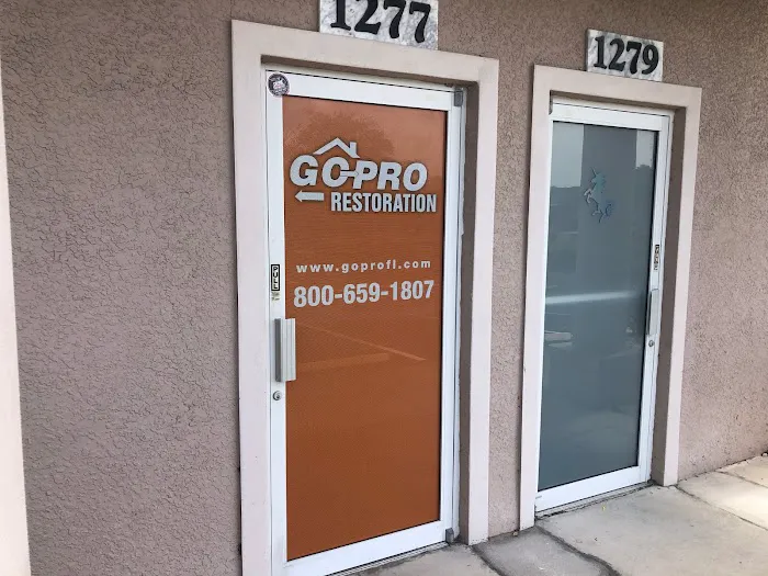 Go Pro Restoration Picture 6