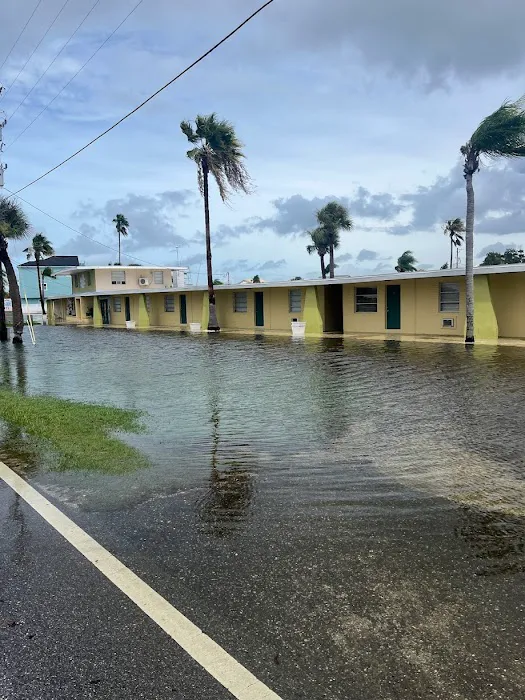 1-800-Dry-Me-Out Picture 7