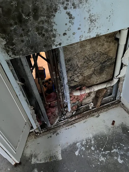 1-800-Dry-Me-Out Picture 6