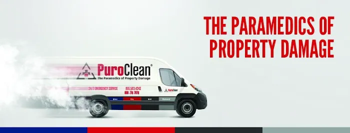 PuroClean of New Port Richey Picture 1