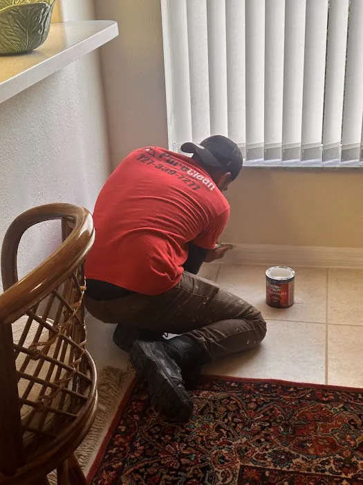 PuroClean of New Port Richey Picture 10