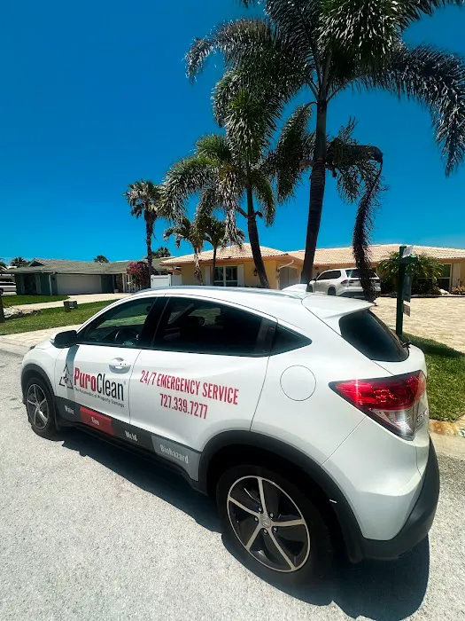 PuroClean of New Port Richey Picture 9