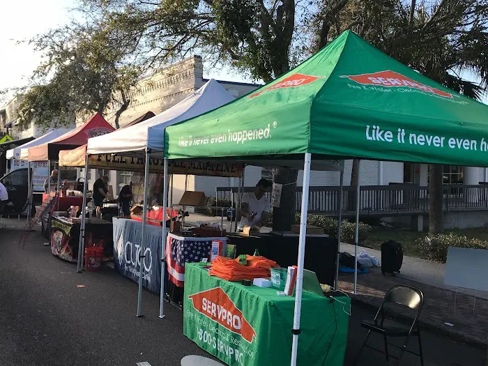 SERVPRO of Tarpon Picture 3