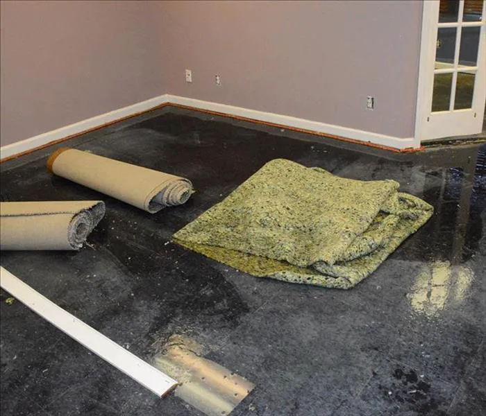 SERVPRO of Tarpon Picture 7