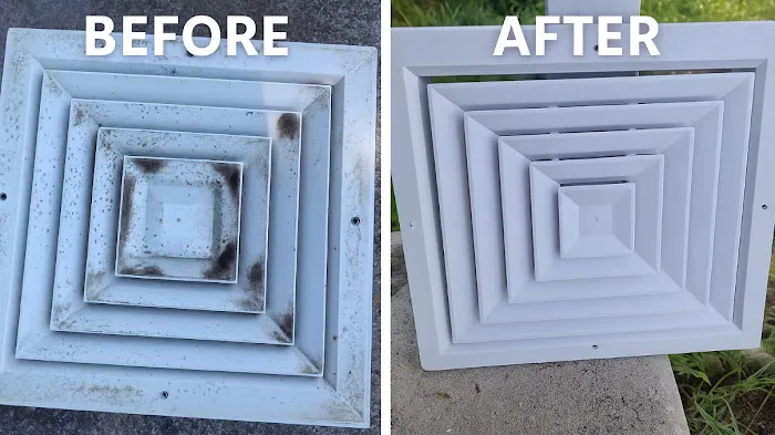 Spora Mold Remediation - New Port Richey Picture 1