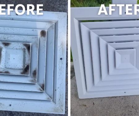 Spora Mold Remediation - New Port Richey