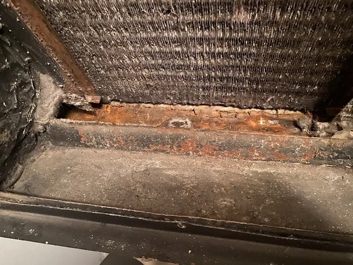 Spora Mold Remediation - New Port Richey Picture 7