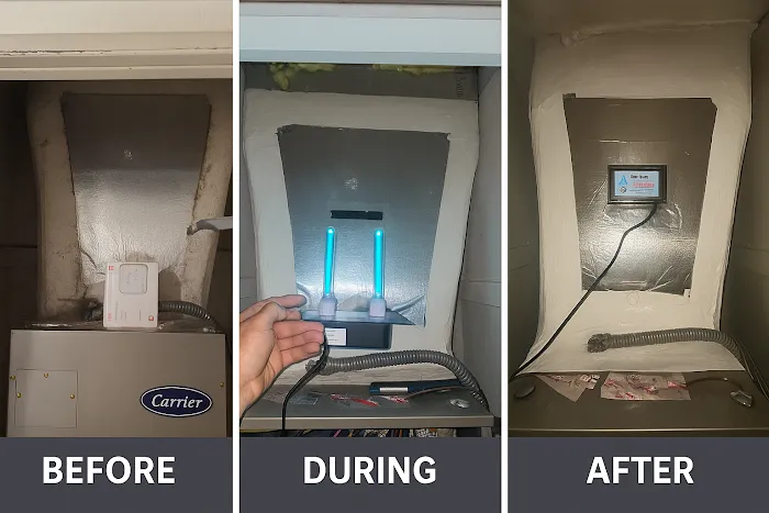 Spora Mold Remediation - New Port Richey Picture 4