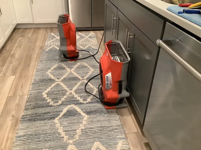 Lightning Restoration Picture 3