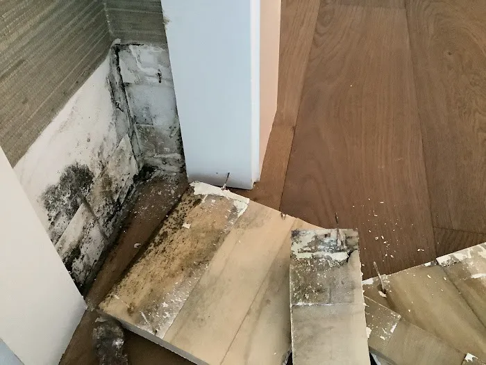 Lightning Restoration Picture 8