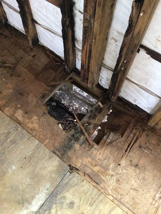 Lightning Restoration Picture 4