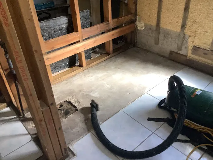 Lightning Restoration Picture 5