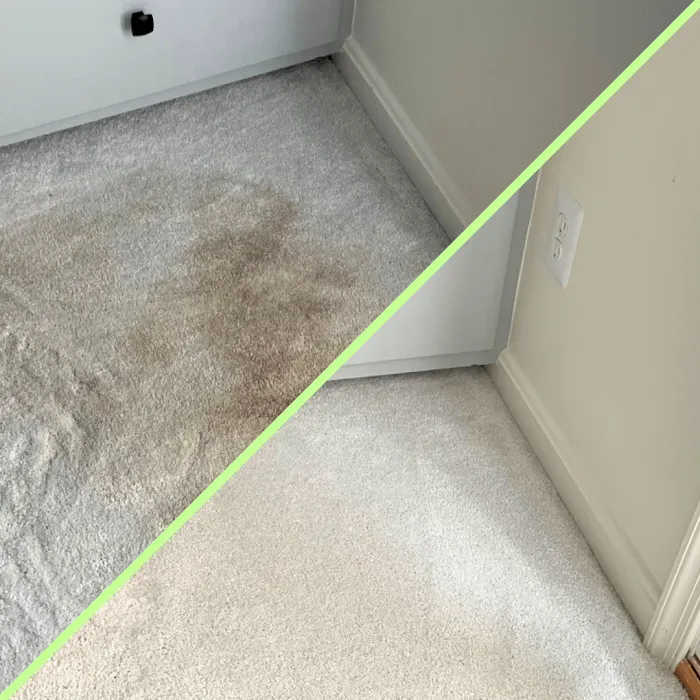 Voda Cleaning & Restoration of North Tampa Picture 7