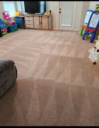 Voda Cleaning & Restoration of North Tampa Picture 3