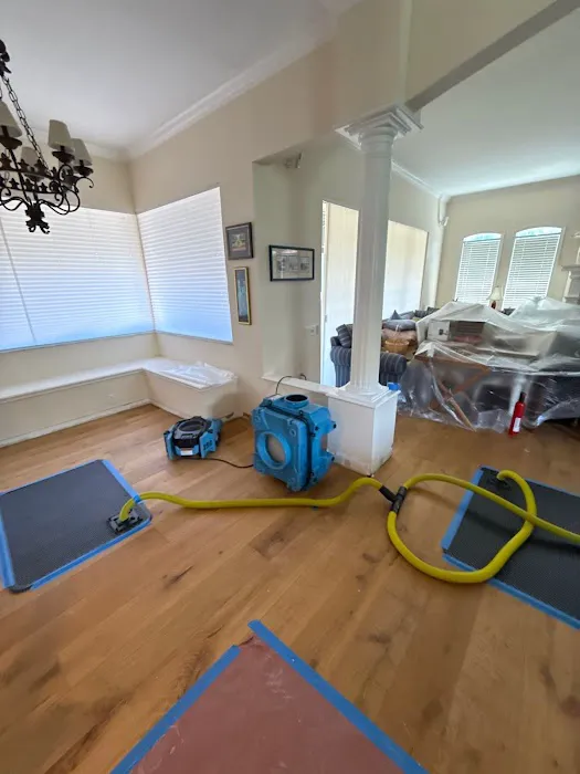 Rapid Recovery Team Tampa LLC Picture 4