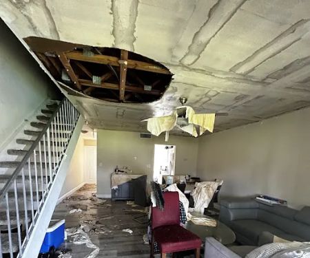 Rapid Recovery Team Tampa LLC