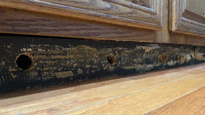 Advantage Restoration & Contracting Picture 10