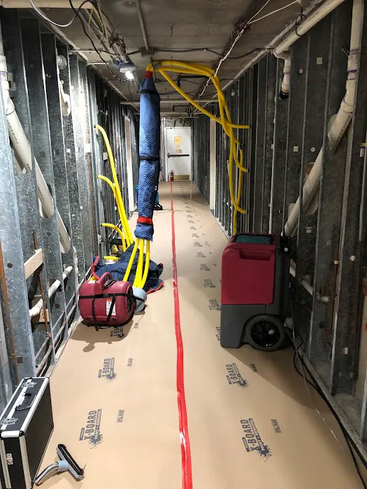 PuroClean Emergency Restoration Specialists Picture 4