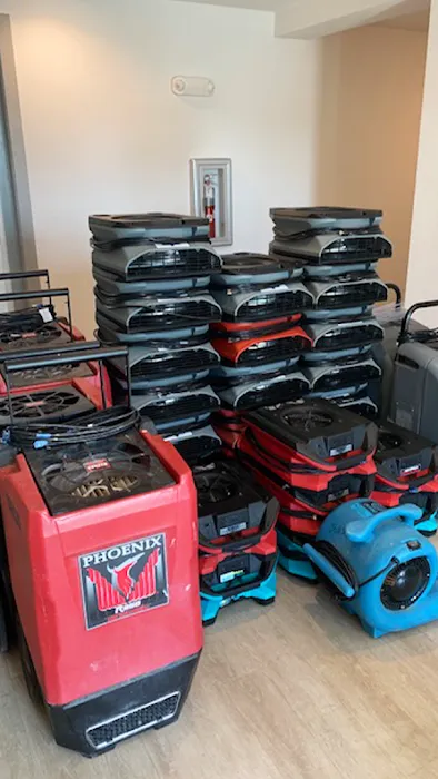 Gladiator Restoration Picture 9