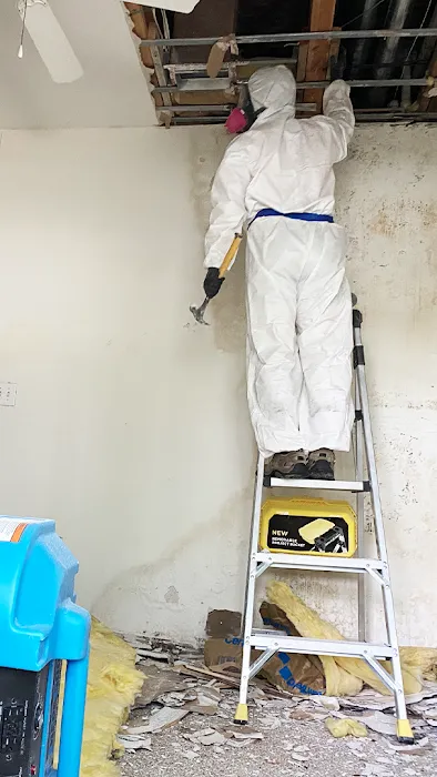 Gladiator Restoration Picture 5