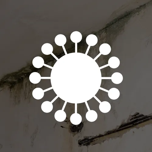 MGM Recovery Picture 5