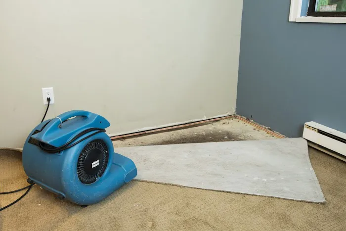 VRTX Water Damage Restoration Lakeland Picture 3