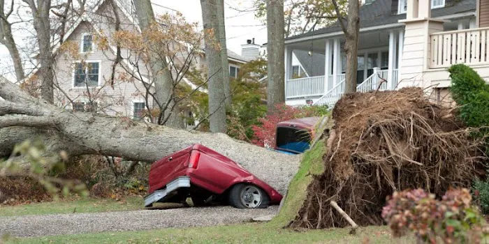 On-Deck Restoration Picture 1