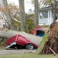 On-Deck Restoration ico