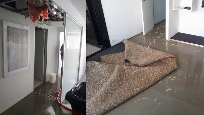 PuroClean of East Tampa Picture 7